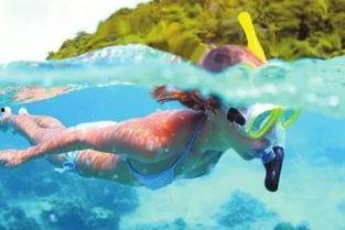 一線吃瓜海底見(jiàn)月免費(fèi)閱讀,免費(fèi)暢讀奇幻冒險(xiǎn)之旅