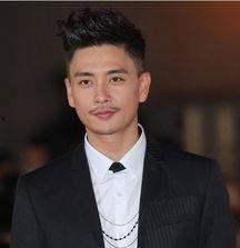 黃宗澤男明星,魅力四射的影視巨星，演繹人生百態