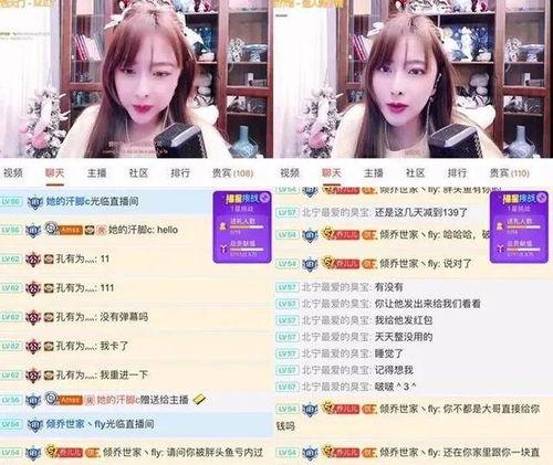 粉球最新爆料視頻大全,揭秘幕后真相，精彩瞬間大盤點(diǎn)